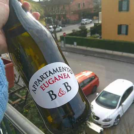 Euganea - Διαμέρισμα Rovolon